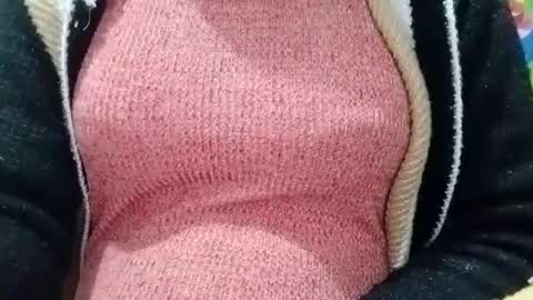 Snapshot of jasspreettt chatting on January 4, 5:48 am jasspreettt online show from January 4, 5:48 am