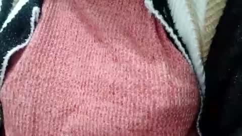 Snapshot of jasspreettt chatting on February 1, 1:55 am jasspreettt online show from February 1, 1:55 am