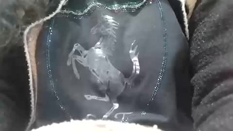 Snapshot of jasspreettt chatting on February 2, 6:58 am jasspreettt online show from February 2, 6:58 am