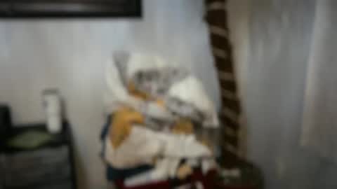 JAV online show from April 15, 2:29 am