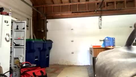 Jaws  online show from September 12, 7:36 pm