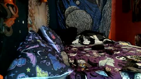 Snapshot of jax_skyfallin chatting on February 12, 10:46 am jaxxx666 online show from February 12, 10:46 am