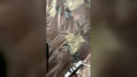 jaxsona online show from April 18, 8:18 am