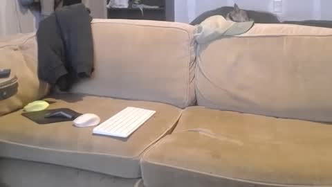 O F   jay short786 online show from March 9, 4:49 am