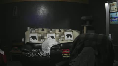 Grand Zaddy or Jay its casual online show from September 21, 2:57 am