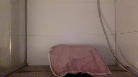 Snapshot of jayzee1996 chatting on October 9, 8:18 pm Hafte online show from October 9, 8:18 pm