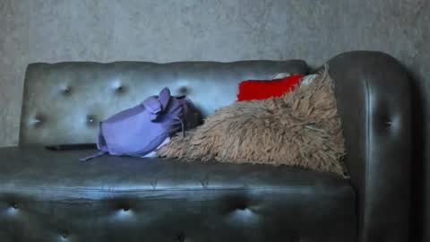 jd thebaby online show from January 12, 12:54 pm