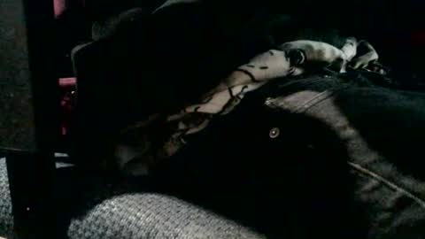 Snapshot of jebblynch42 chatting on February 19, 4:47 pm JJ Banks online show from February 19, 4:47 pm