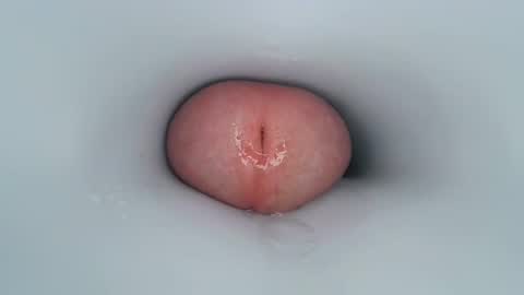 jeffrodgerschaturbat online show from December 30, 11:37 am