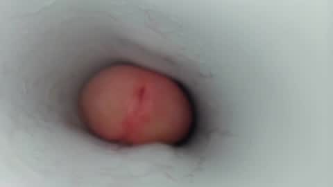 jeffrodgerschaturbat online show from January 17, 7:46 am