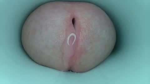 jeffrodgerschaturbat online show from March 11, 3:56 am