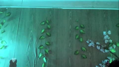 Snapshot of jenelotizz06 chatting on September 27, 6:24 pm Jenelotizz online show from September 27, 6:24 pm