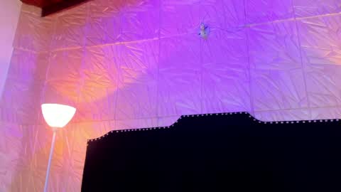  Jenny  online show from March 26, 11:16 am