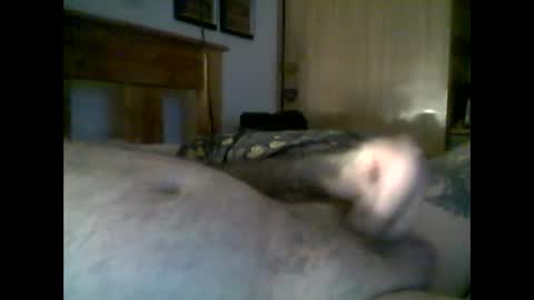jerkmate6666 online show from November 22, 9:25 pm