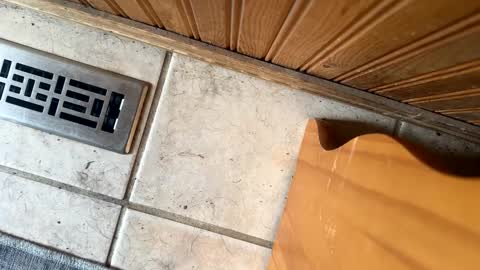 Jeremys room chill and puff one enjoy online show from September 19, 6:30 pm