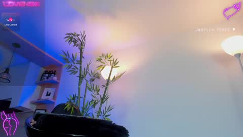 Snapshot of jessicapratt chatting on February 25, 11:11 pm Jessica Pratt IG jessicaxpratt online show from February 25, 11:11 pm