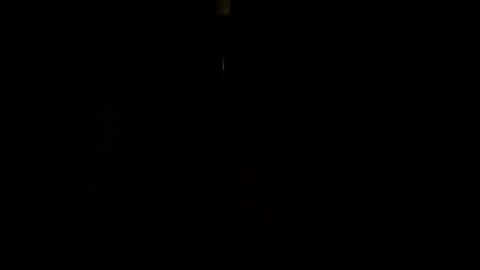 jestersquid89 online show from September 13, 10:31 pm