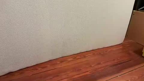 Snapshot of jetzzurssi chatting on January 16, 6:39 am me online show from January 16, 6:39 am