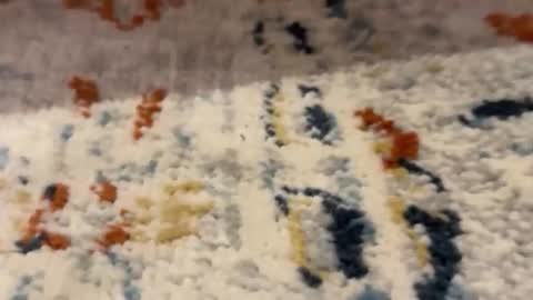 Snapshot of jetzzurssi chatting on March 11, 11:44 pm me online show from March 11, 11:44 pm