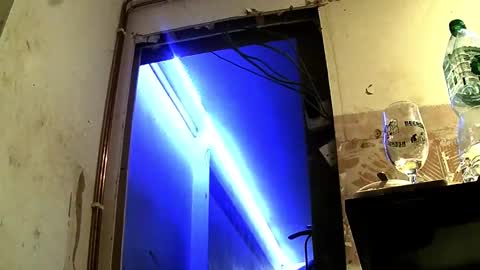 Snapshot of jhkhjku538466 chatting on February 17, 4:09 am jhkhjku538466 online show from February 17, 4:09 am