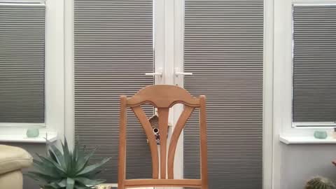 Snapshot of jiggz1986 chatting on February 10, 3:53 pm Jigz1986 online show from February 10, 3:53 pm