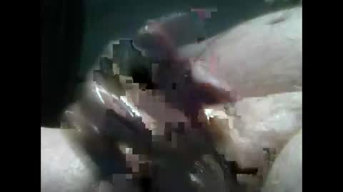 jimboluv488 online show from December 18, 2:10 am