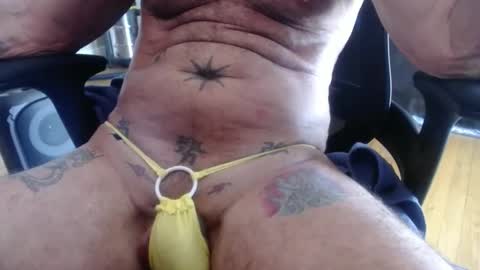 cock model  bathing suit model online show from February 9, 8:13 pm