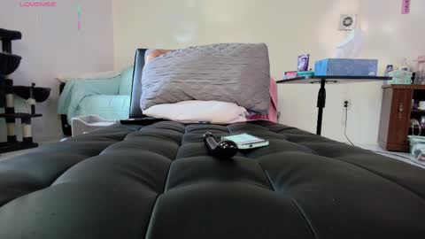 Nicole  Allen online show from September 18, 10:01 pm