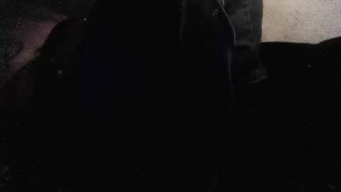 Snapshot of jjohnathan529 chatting on January 26, 3:58 pm jjohnathan529 online show from January 26, 3:58 pm