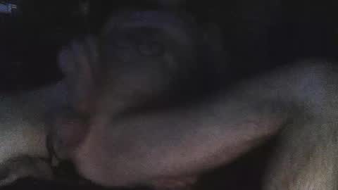 Snapshot of jjohnathan529 chatting on February 24, 7:11 am jjohnathan529 online show from February 24, 7:11 am