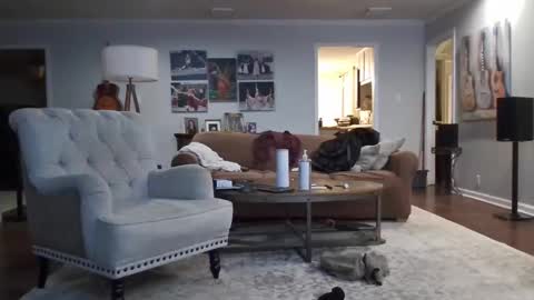 jkelly92081bean online show from November 21, 6:45 am