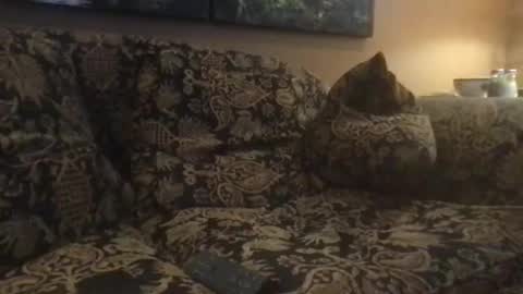 jlk7777 online show from February 25, 5:04 pm