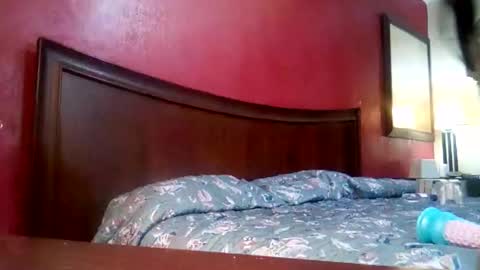 Snapshot of jmbaby chatting on December 4, 2:59 pm jmbaby online show from December 4, 2:59 pm