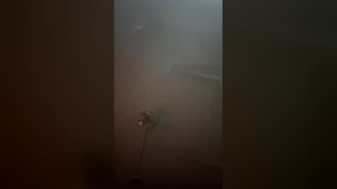 jnoseh23 online show from April 16, 10:05 am