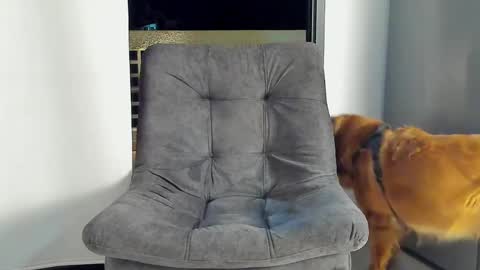 JOAN SAENZ online show from January 9, 3:47 am