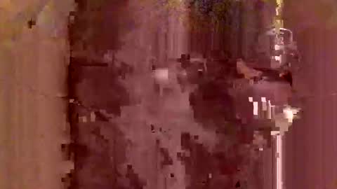 jodlsepp online show from December 12, 11:47 pm