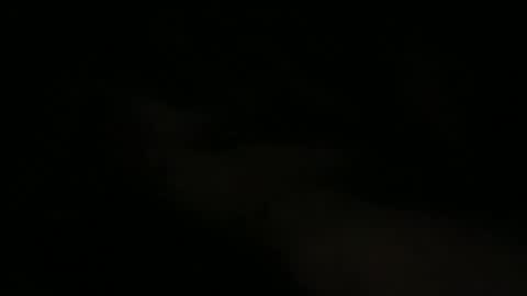 Snapshot of joe_3332 chatting on May 15, 7:48 am joe_3332 online show from May 15, 7:48 am