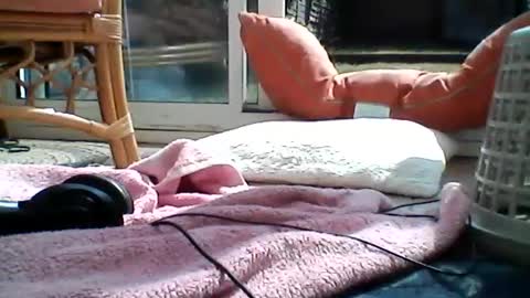 Joe online show from July 21, 2:19 pm