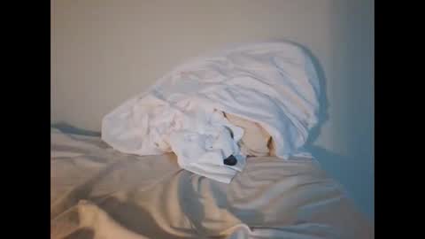 jojooo27 online show from February 14, 6:48 pm