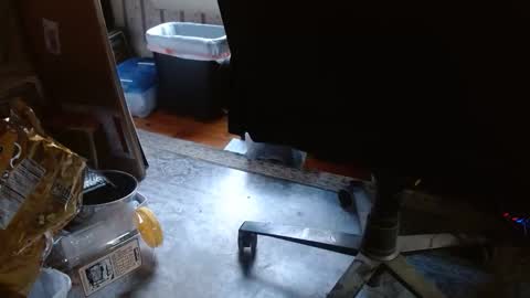 joncpics online show from November 6, 8:21 pm