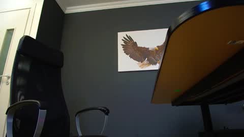 JoshKnight online show from March 4, 8:13 am