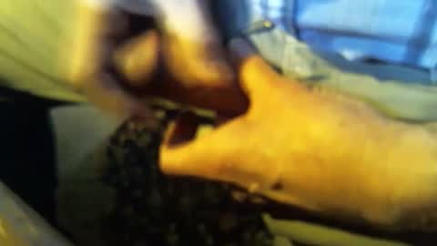 Snapshot of jt335577 chatting on January 27, 7:46 pm jt335577 online show from January 27, 7:46 pm