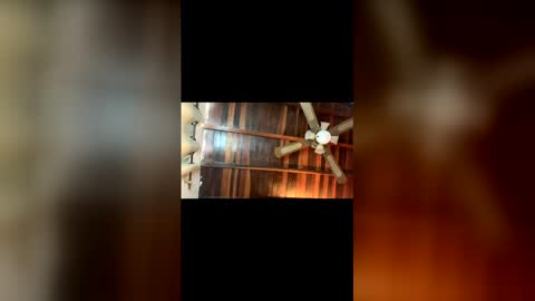 lJuanl online show from June 6, 1:38 pm