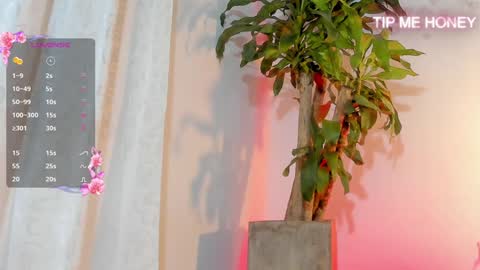 Juan Miguel online show from February 3, 9:30 am