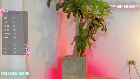 Juan Miguel online show from February 5, 9:46 am