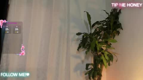 Juan Miguel online show from February 14, 11:53 am