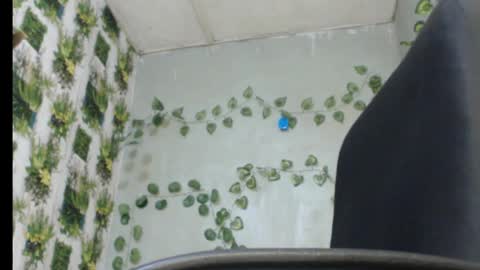 Snapshot of juicy_gold22 chatting on February 13, 1:19 am Mariagold online show from February 13, 1:19 am