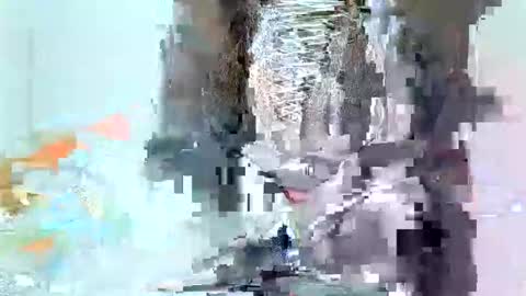 Snapshot of juicyebonitaa chatting on November 4, 6:45 am juicyebonitaa online show from November 4, 6:45 am