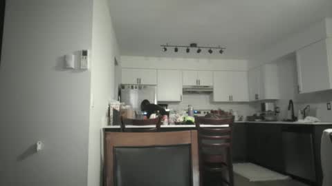 Sav online show from December 5, 5:05 am