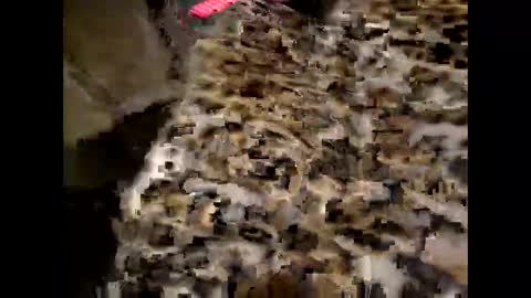 Snapshot of juicyslutx chatting on November 30, 7:07 pm juicyslutx online show from November 30, 7:07 pm